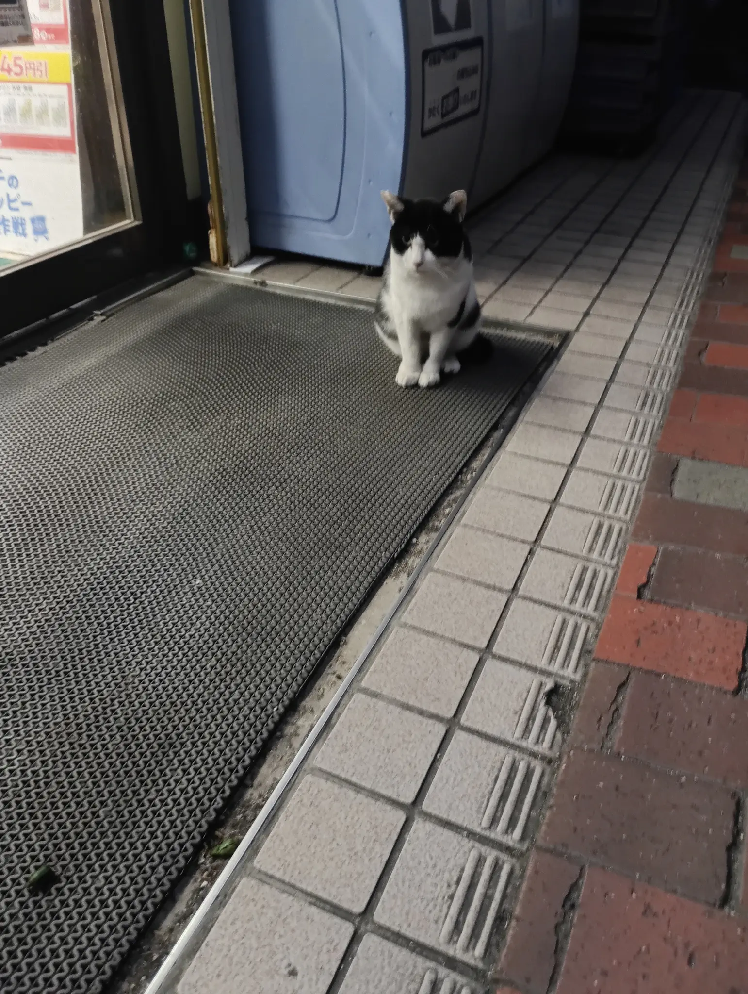 ゆき