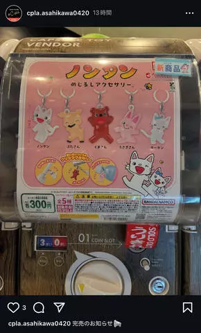 七星 夏純