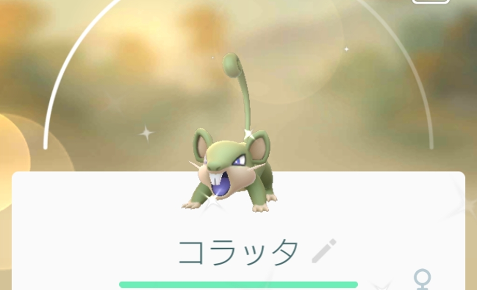 五条 椿