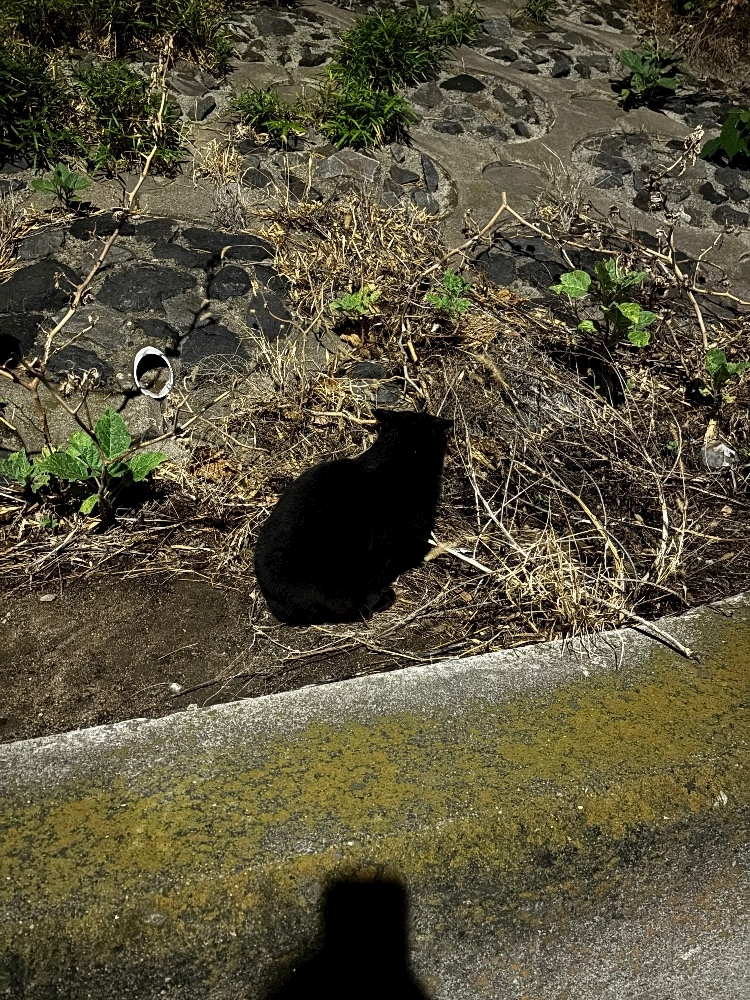 あーだこーだそら