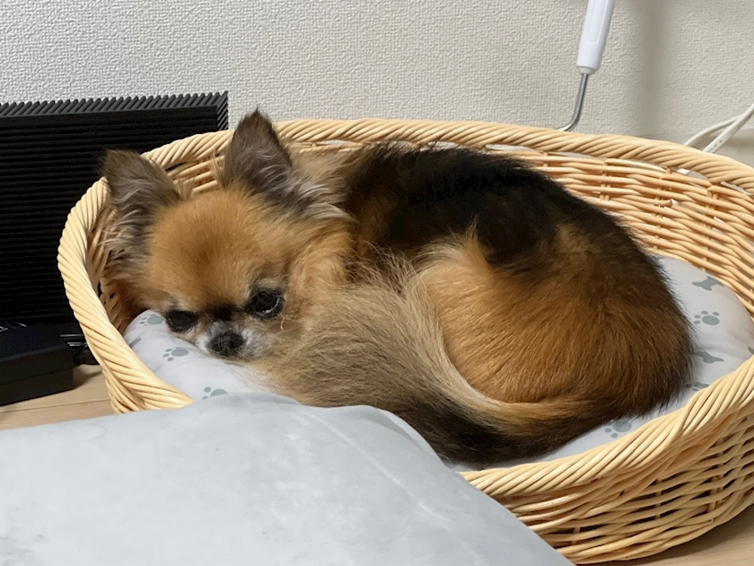 めい