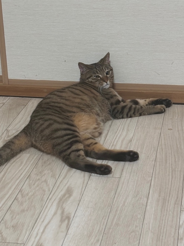 藤花 ゆの