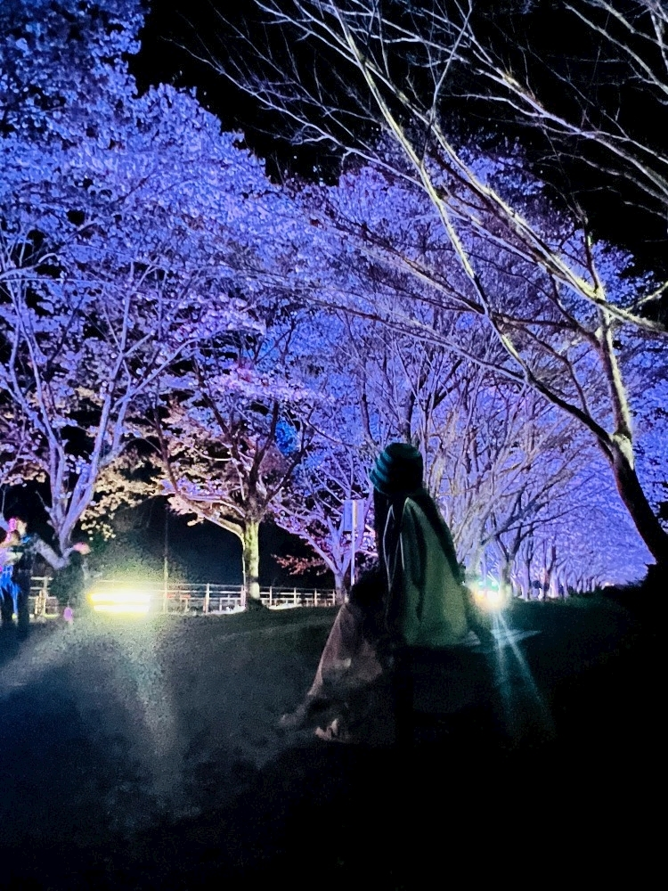 林檎