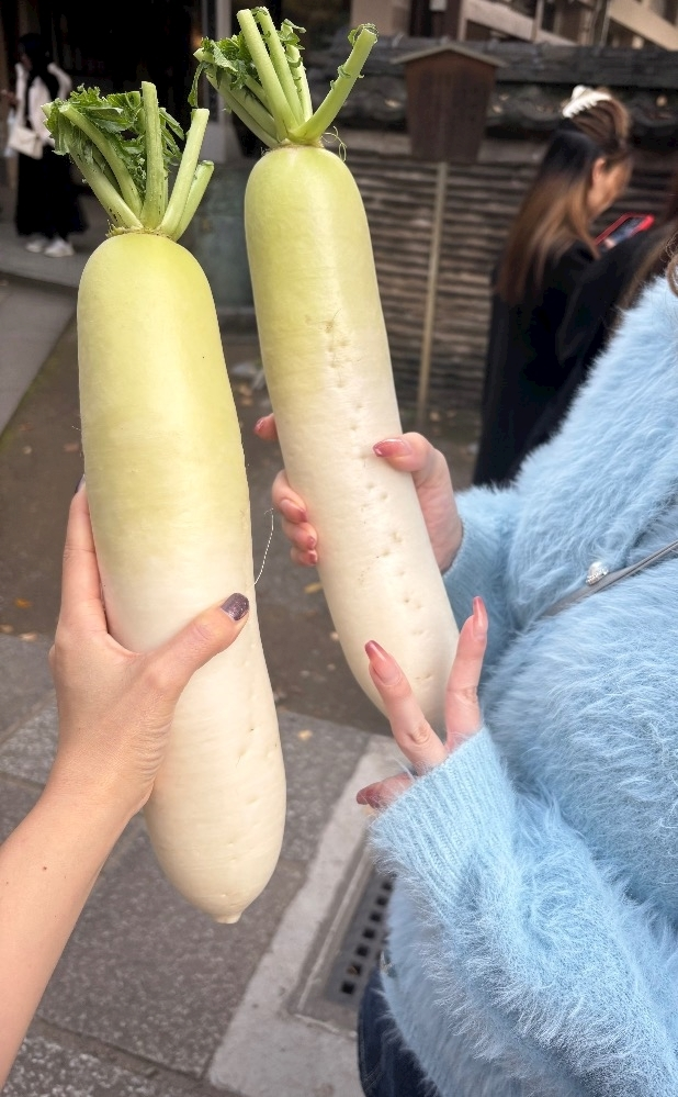 北の関まほの海