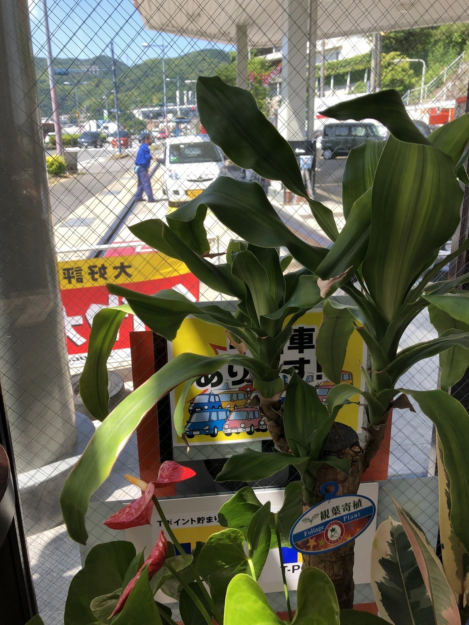 藤本 祐子ママ