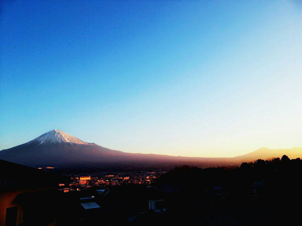 本城 椿