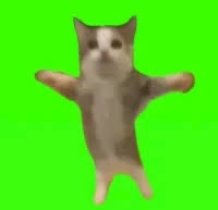 愛川 らん