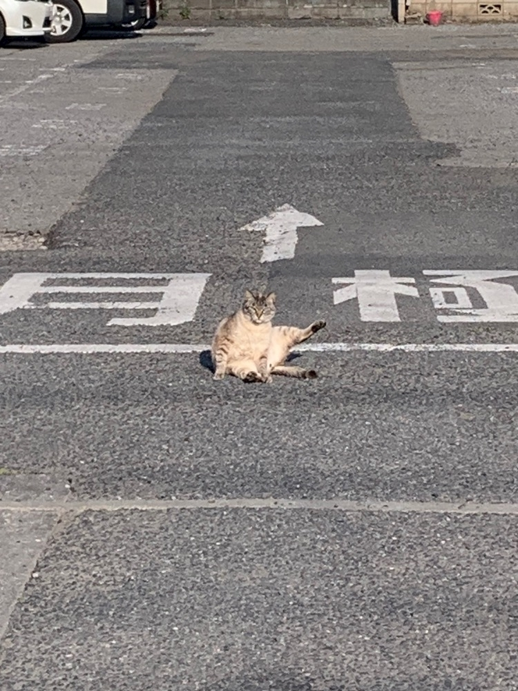 はづき