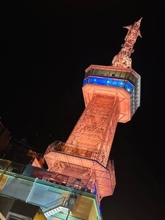 灯 ひなた