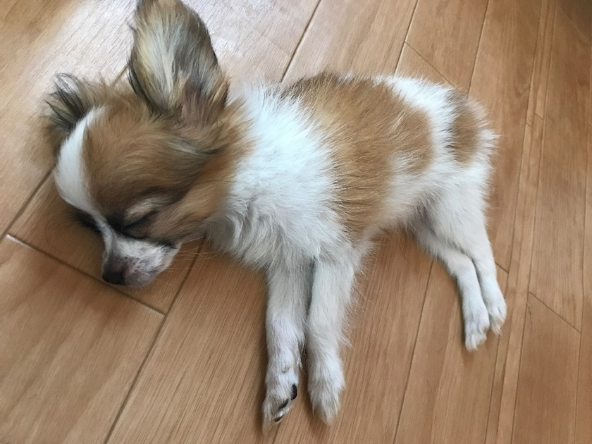 ティナ