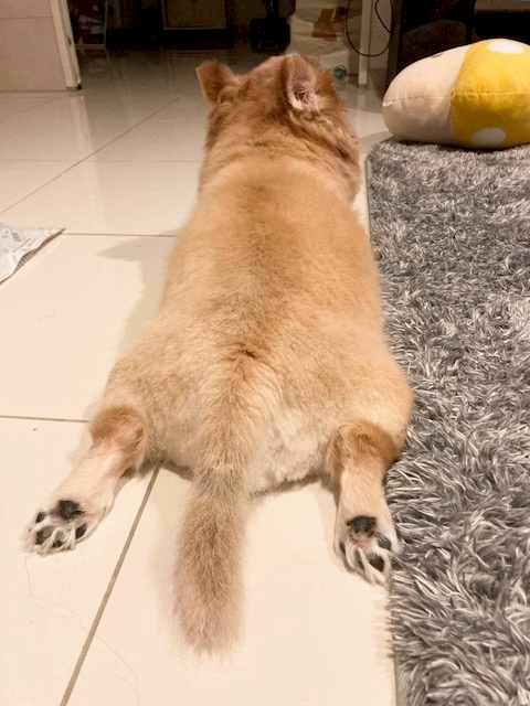 夏樹 あや