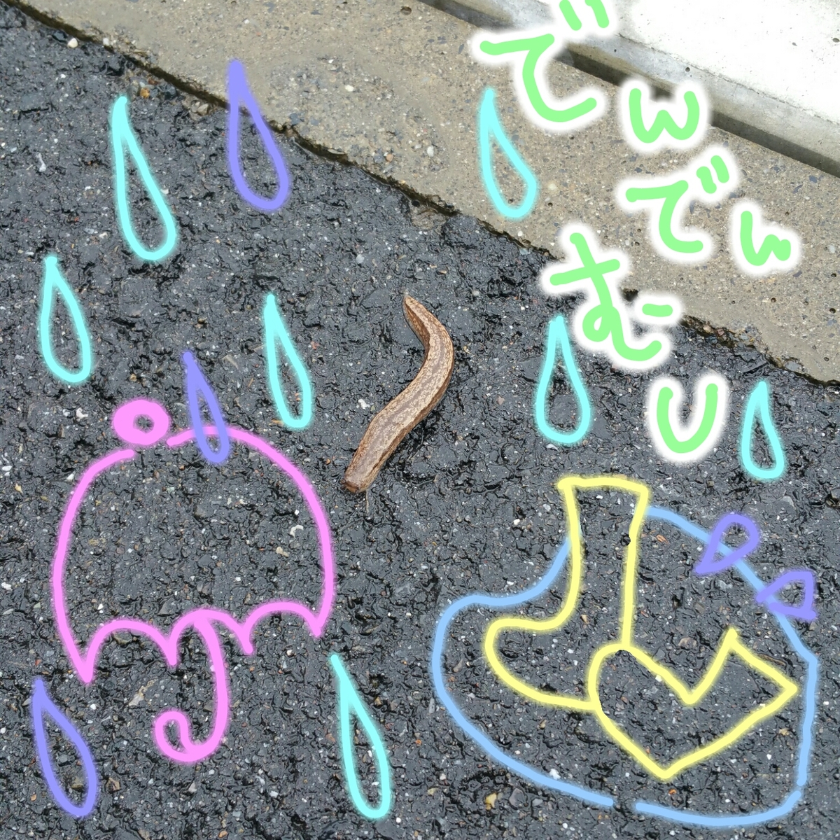 一条 まい