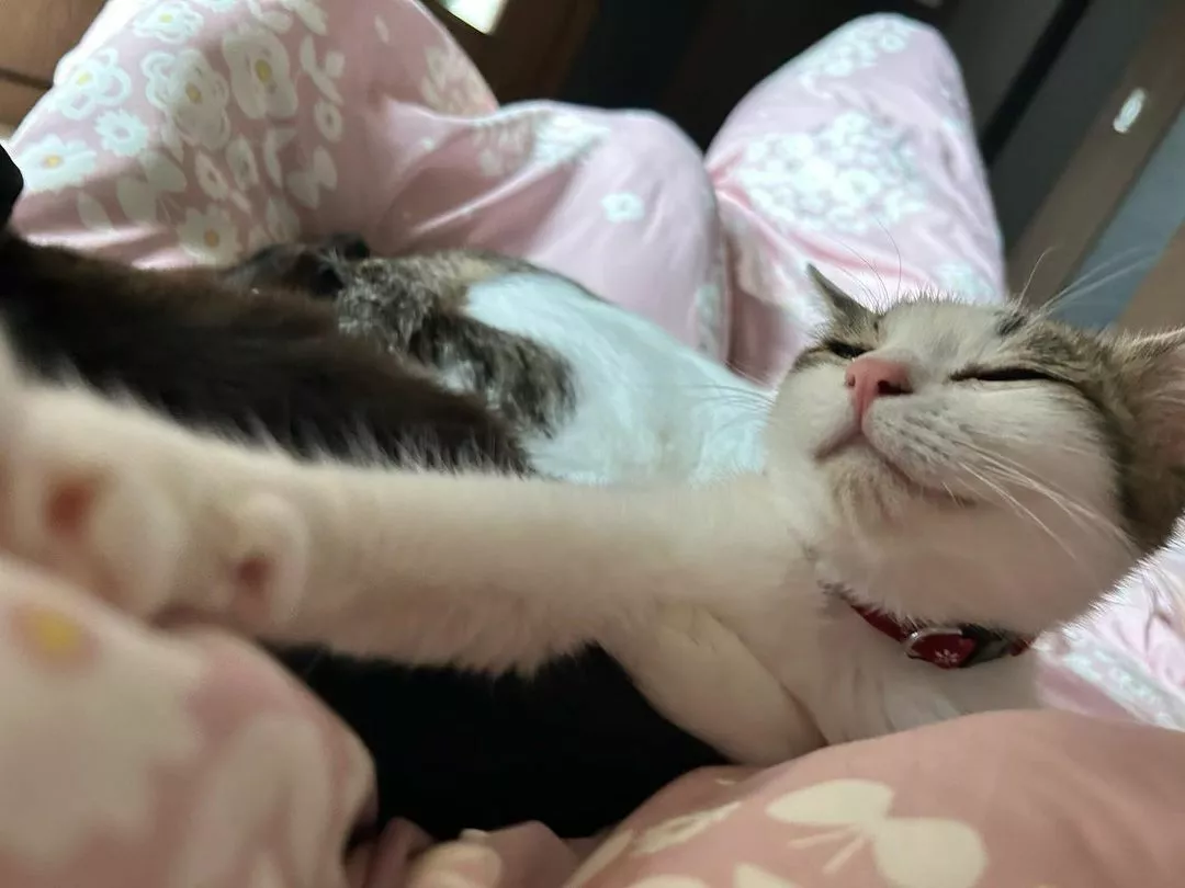 しおん