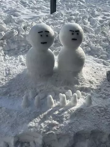 七星 夏純