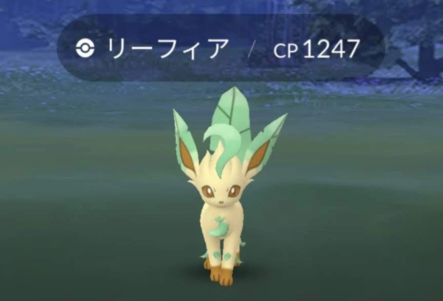 五条 椿
