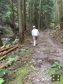 くま