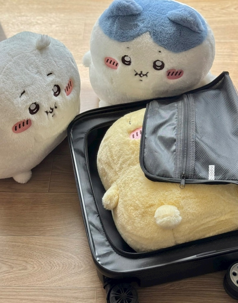 はるせ