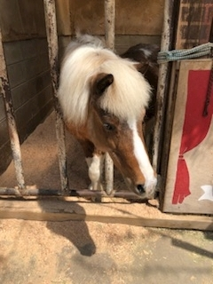 渚 みどり