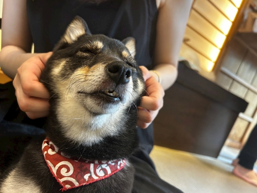 ふゆか