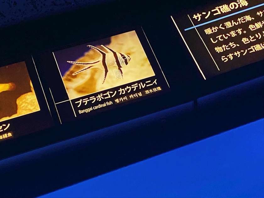りと