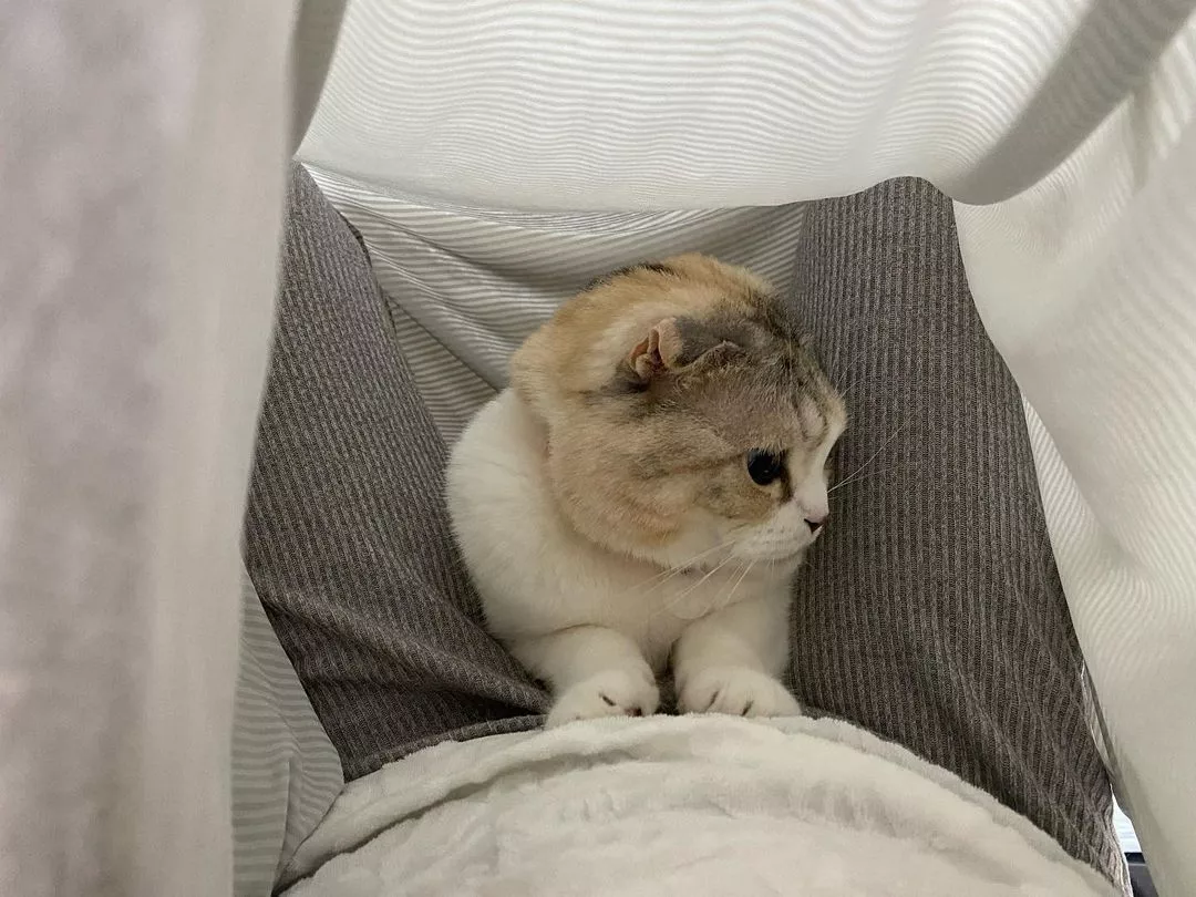 みつき