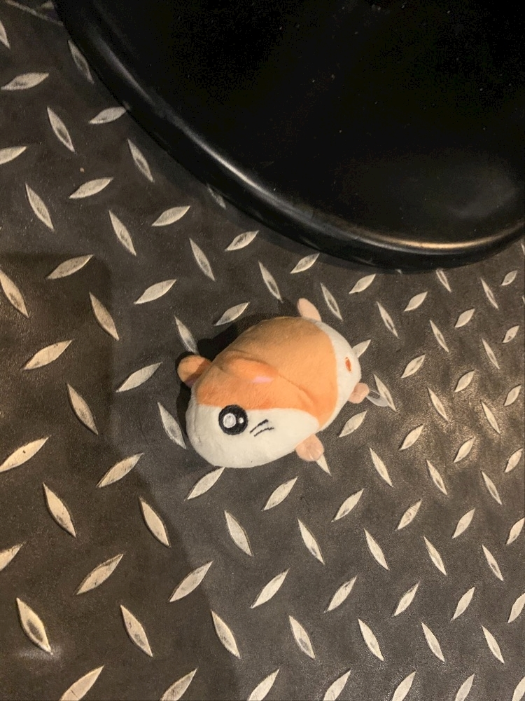 りか