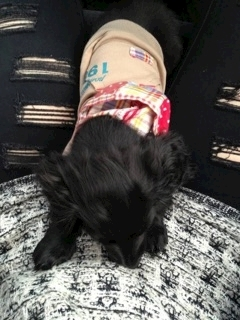 りえ