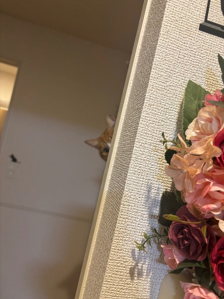 ゆり
