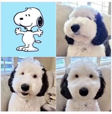 かおり