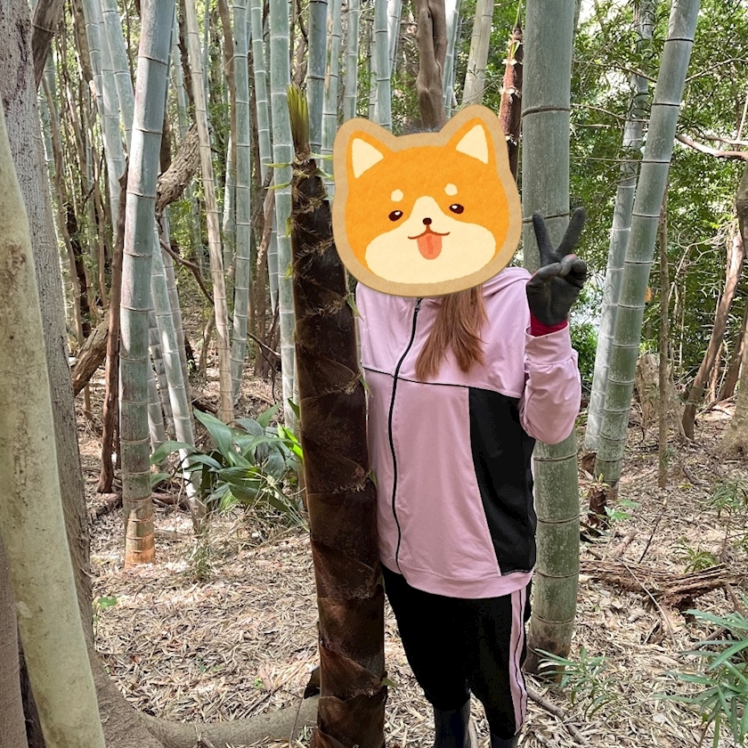 七瀬 みか