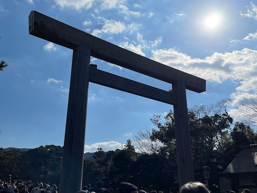 朝倉 しおり