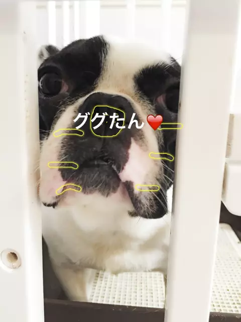 妃 えりか