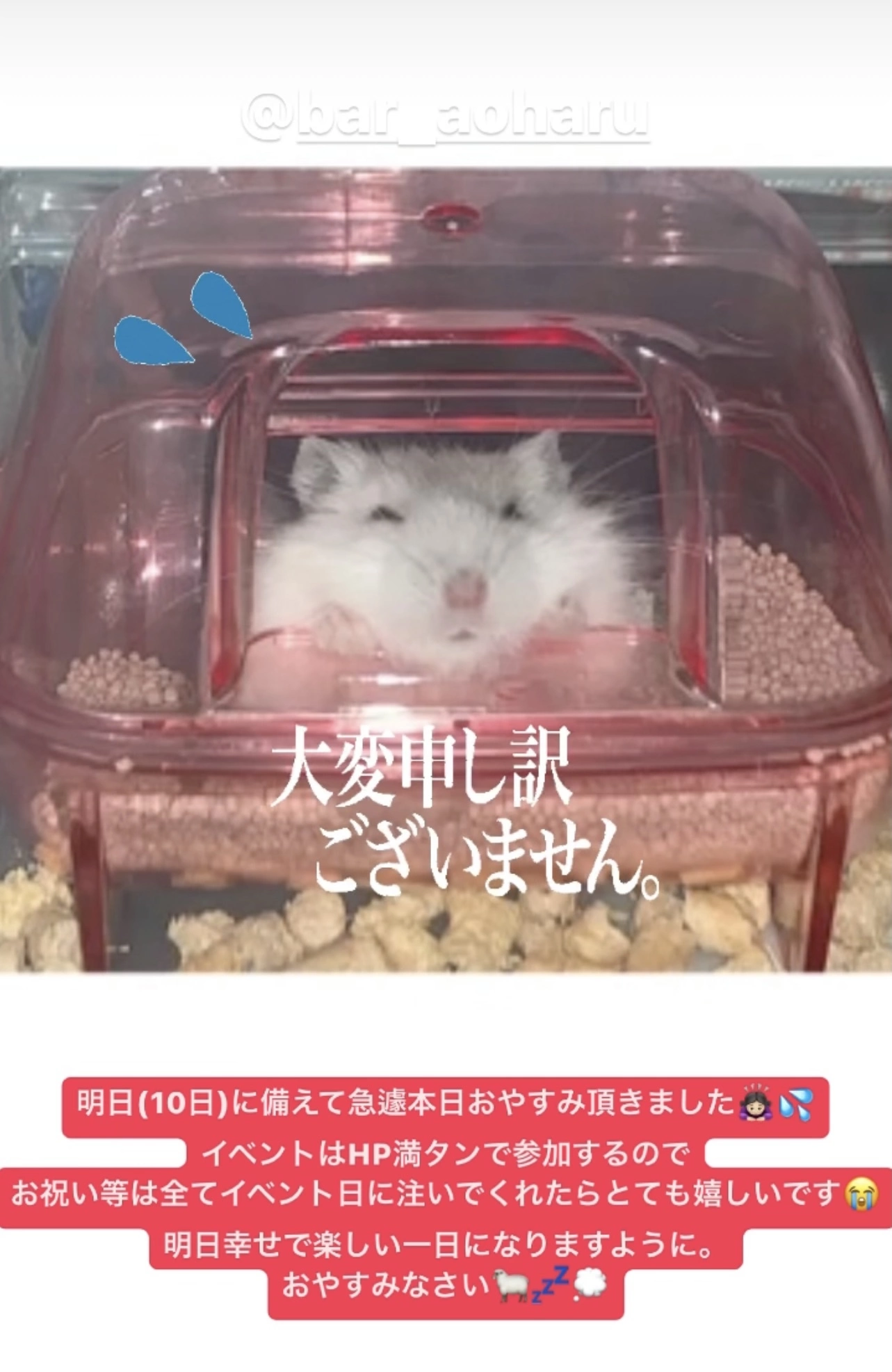 まゆ