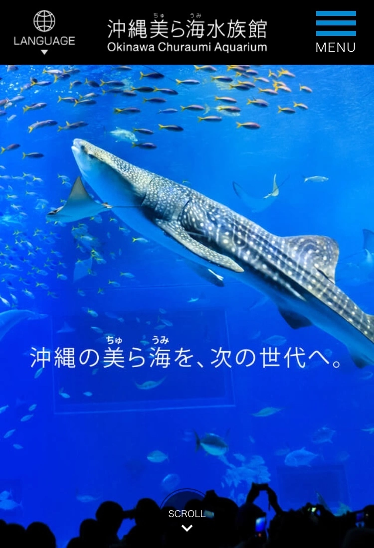 七星 夏純