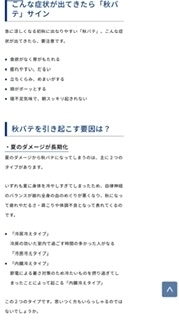 京 さゆみ