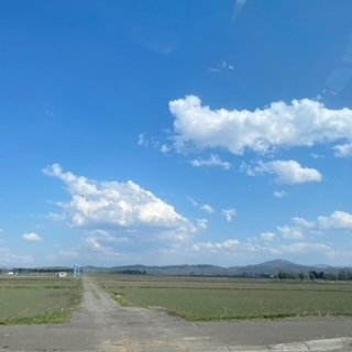 成海 まお