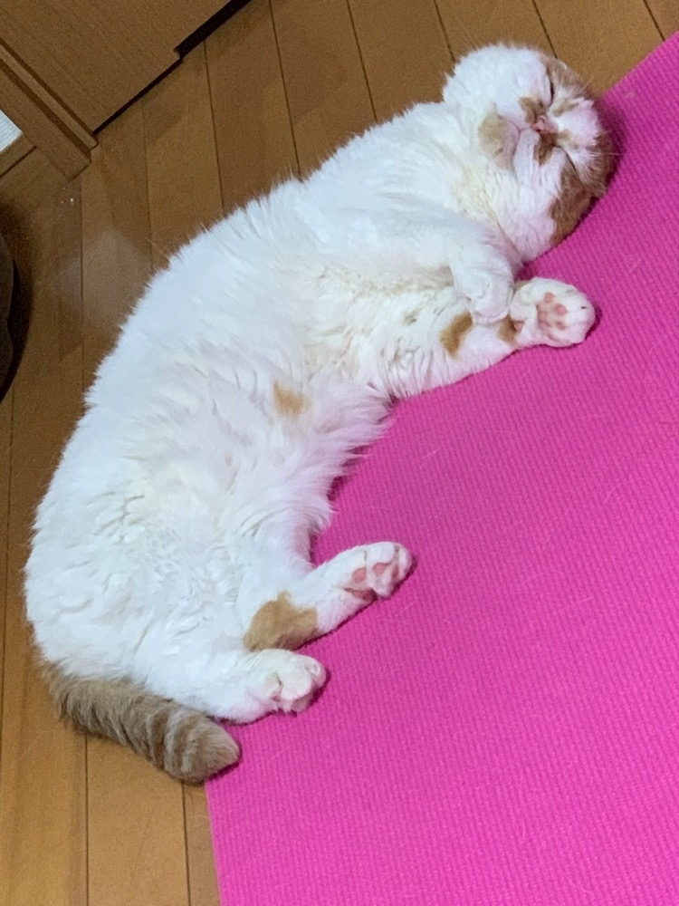 れみ