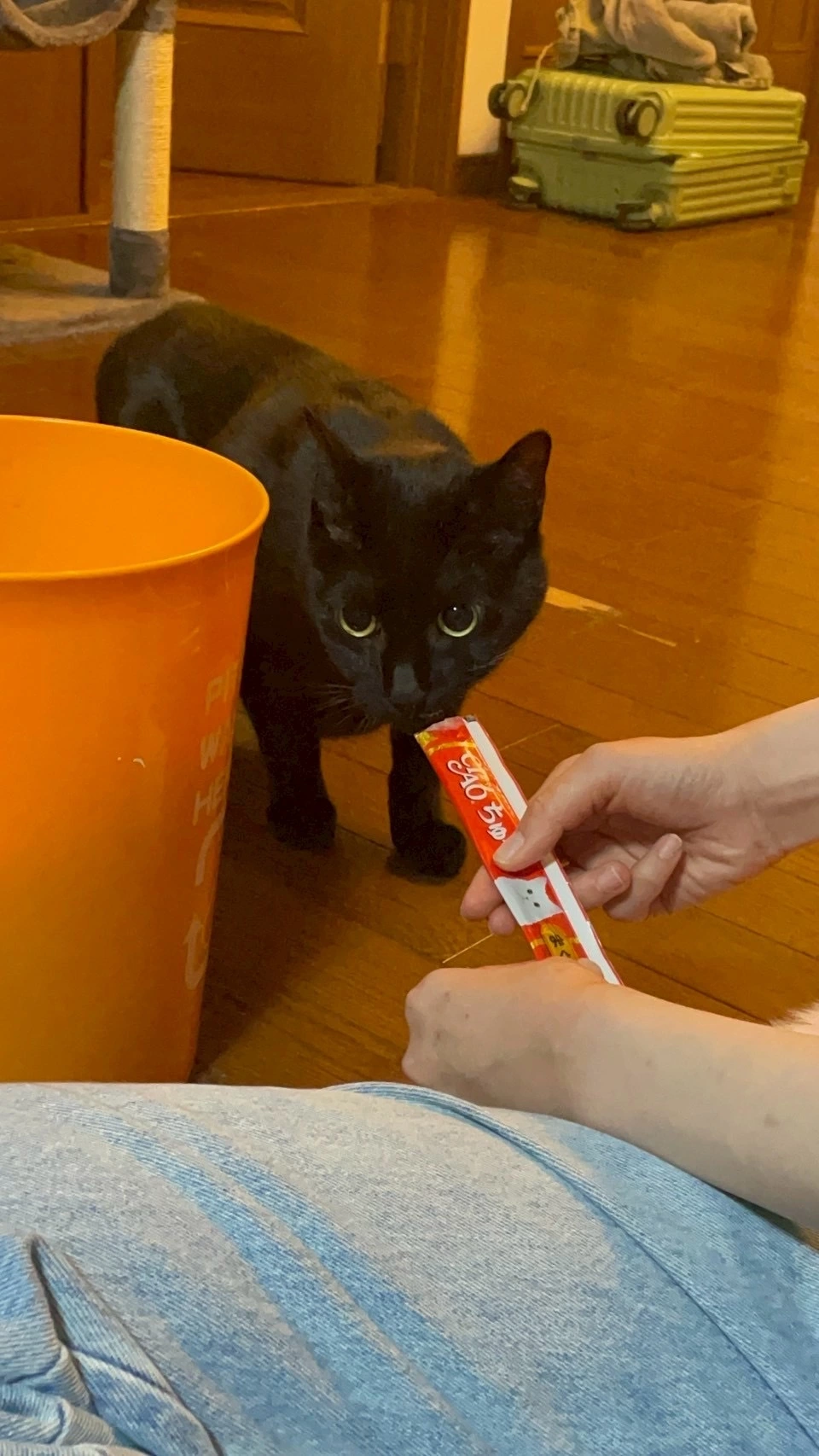 ひめか