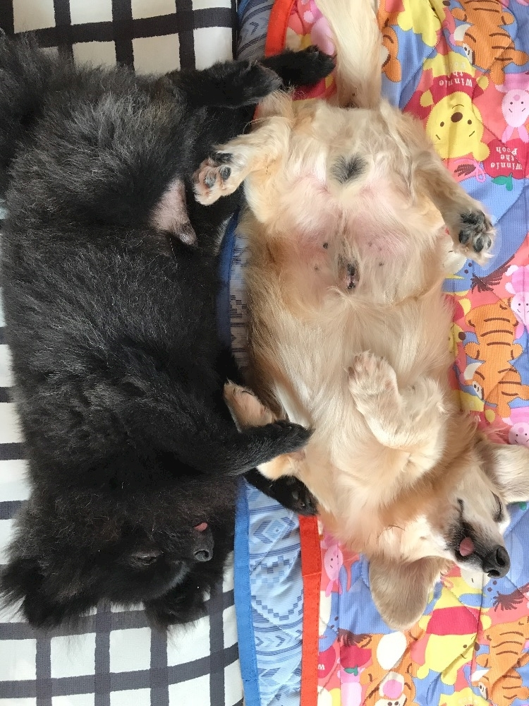 ティナ