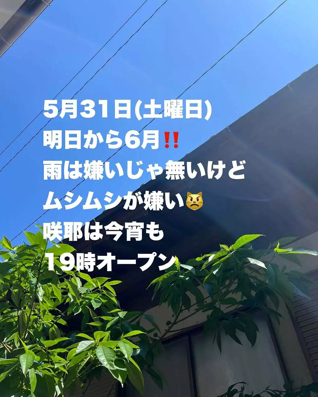 藤本 祐子ママ