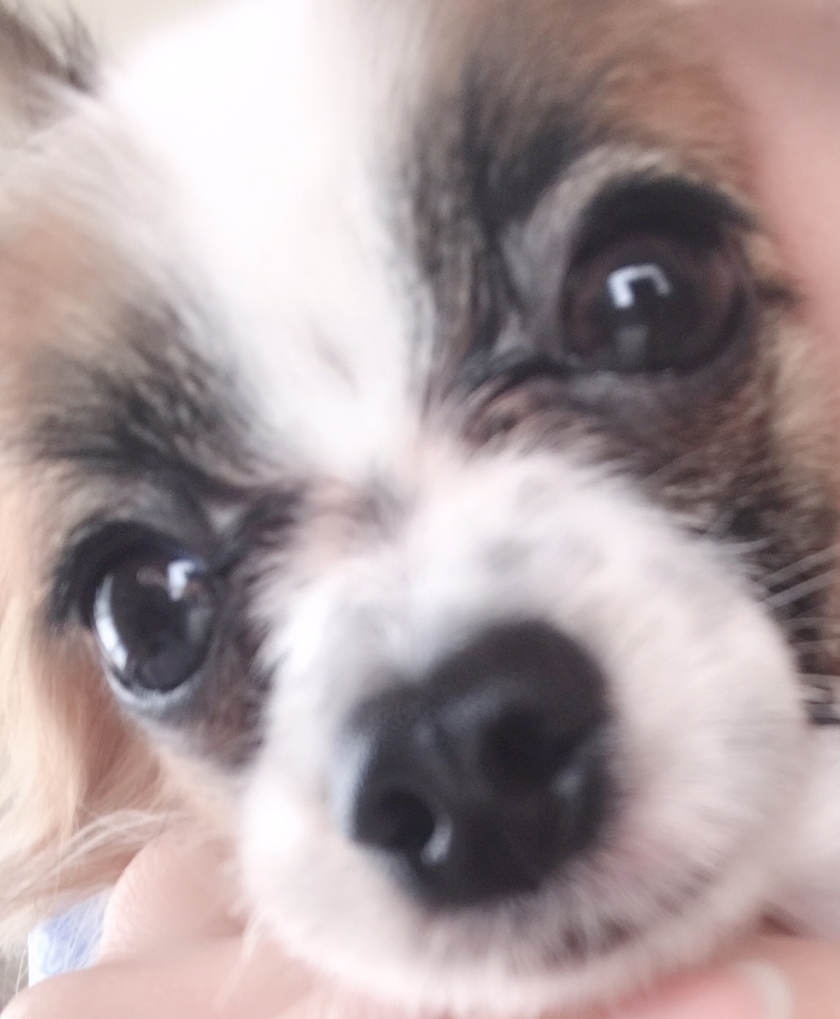 ティナ