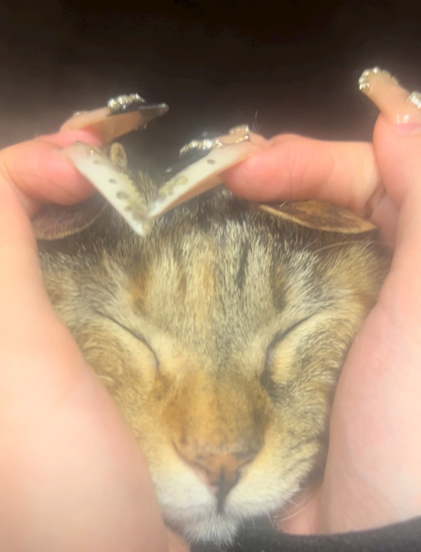 セナ