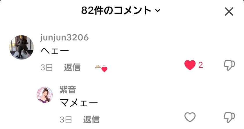 紫音