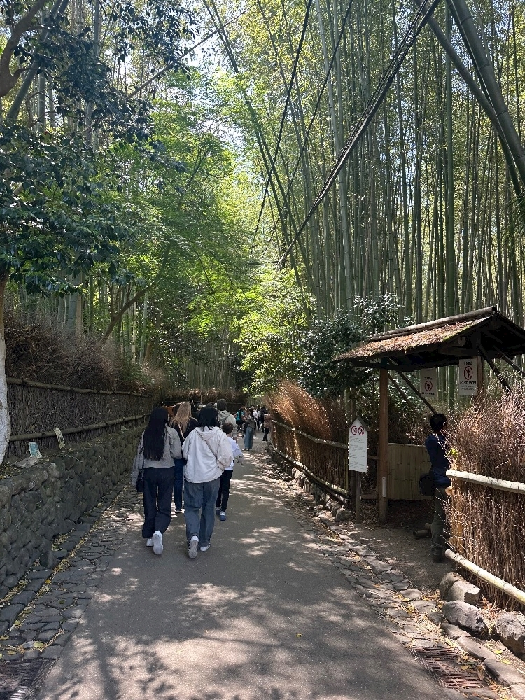 峰 かんな