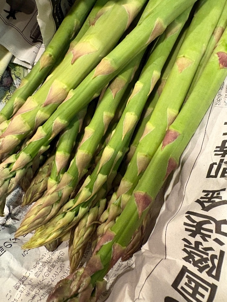 えりな