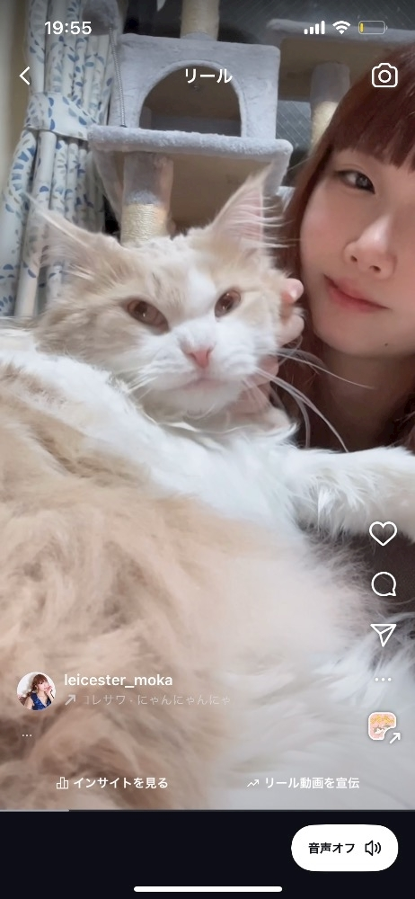 天羽 もか