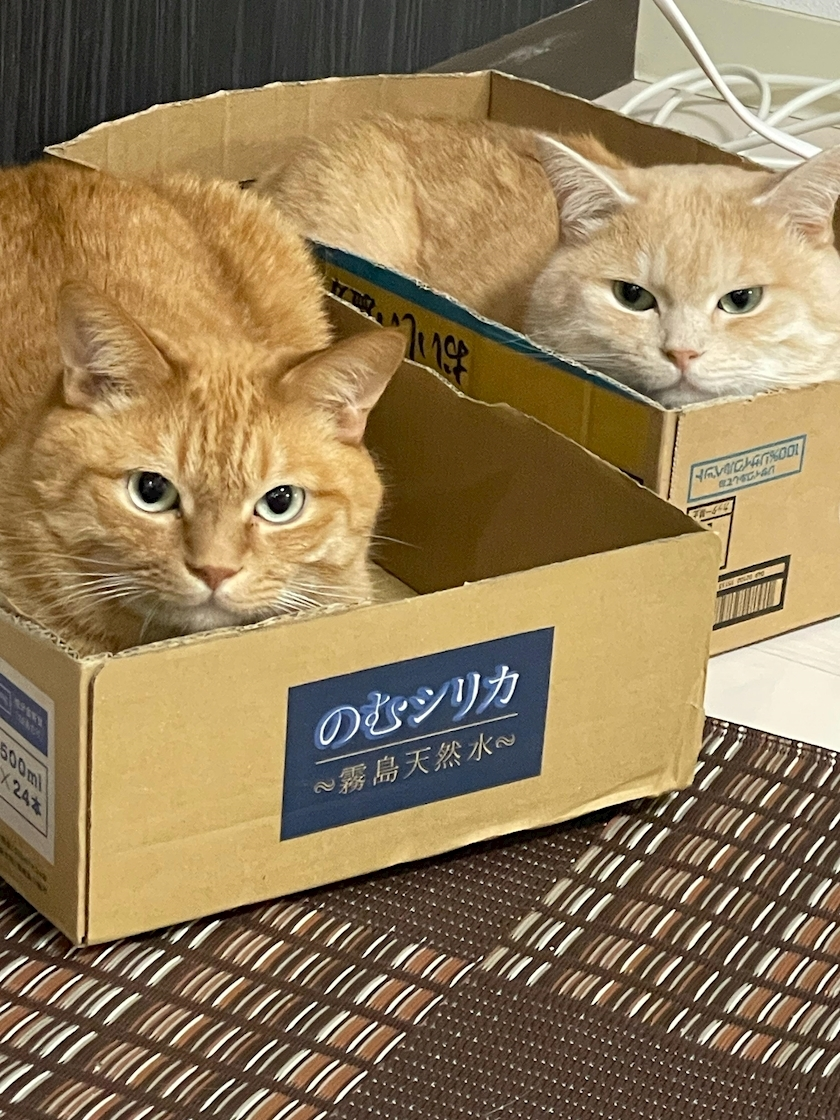 水城 百合