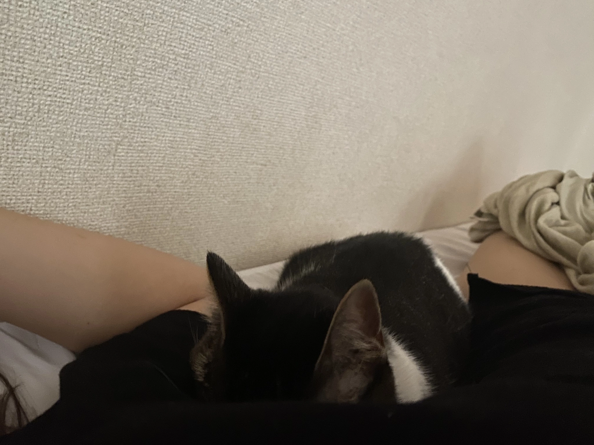 あきら
