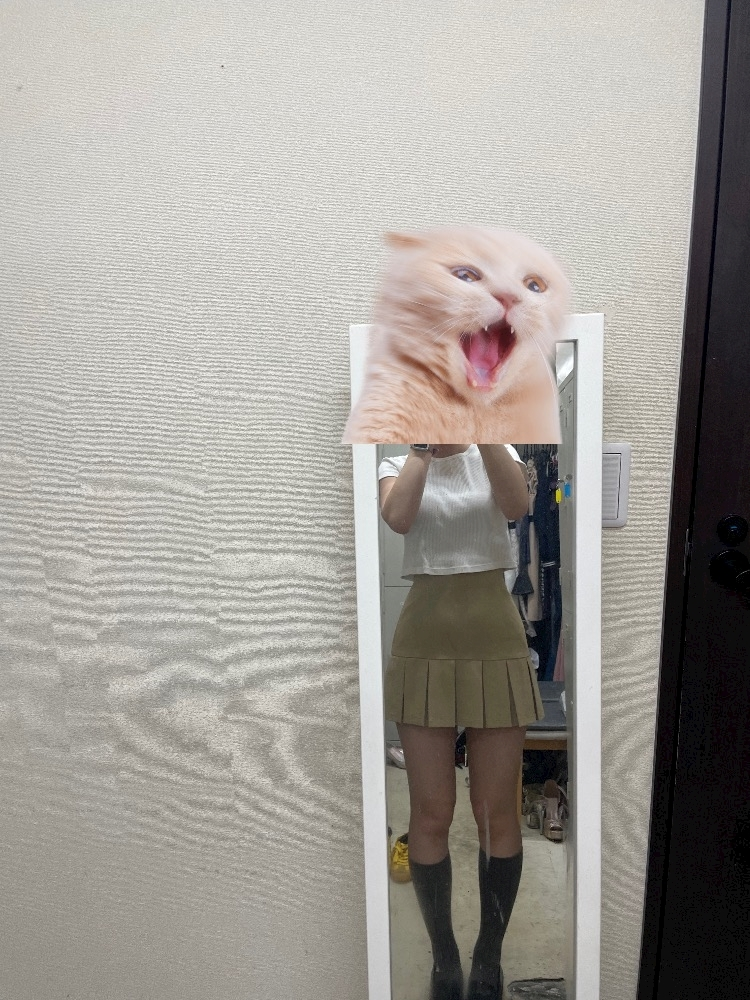 四宮 ねこ