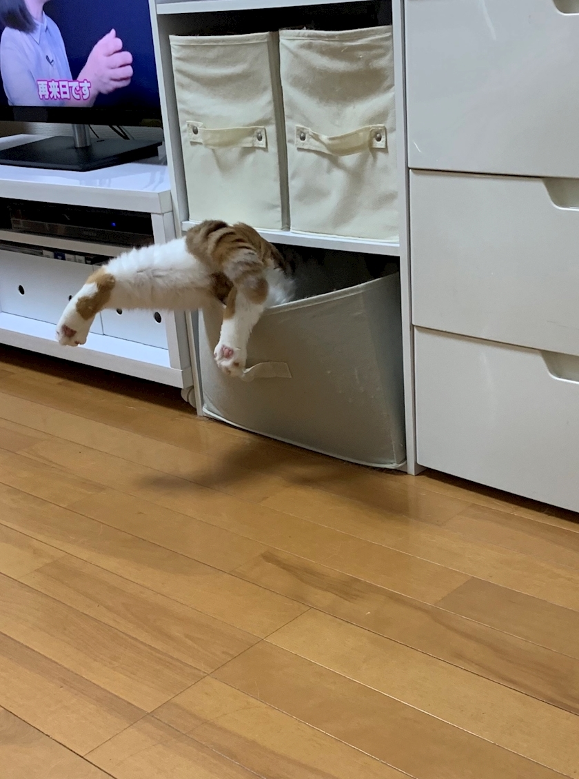 れみ